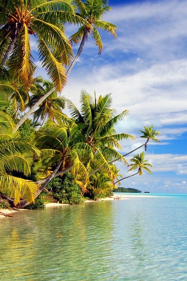 热带海滩 640x1136 iphone 5/5s/5c/se 壁纸,图片,背景,照片
