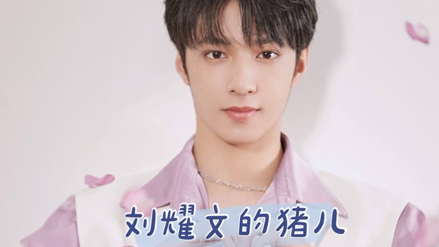 就是说完全没想到,刘耀文,心心念念的是只猪儿
