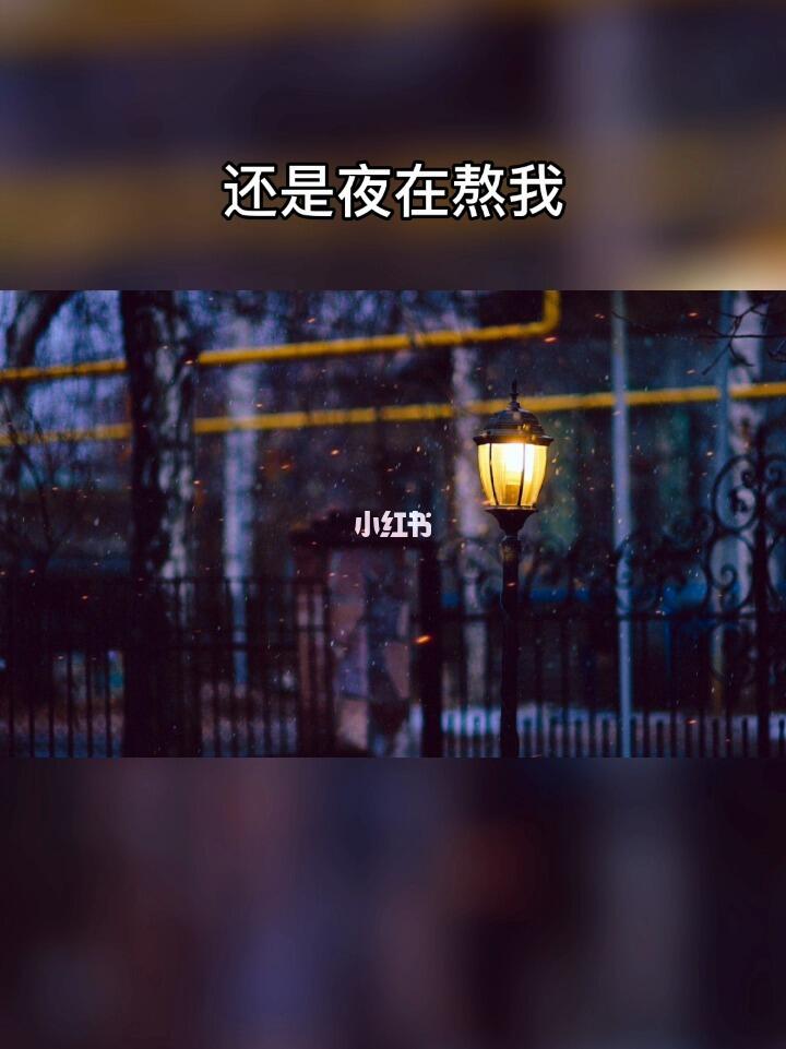 每晚都分不清,到底是我在熬夜,还是夜在熬我,我把夜熬走了,天就亮了