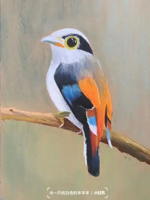 重彩油画棒鸟儿写生