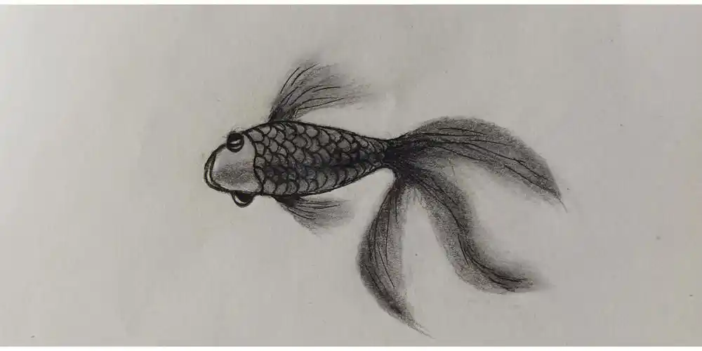 今天教大家画鱼带教程祝大家端午节快乐