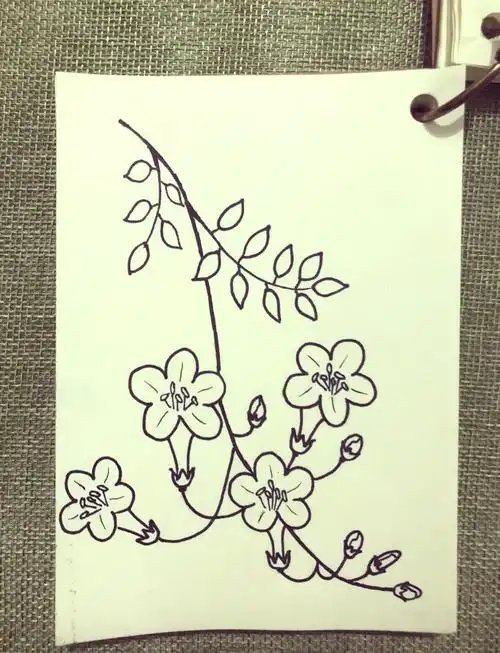 94凌霄花的简易画法96 98准备好你的画笔和纸,今天我们来学习