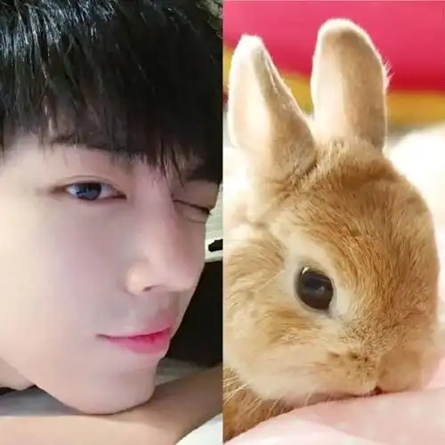 照画耳朵#我的天,我们的战战真的好可爱啊,不愧是肖兔兔本92#肖战