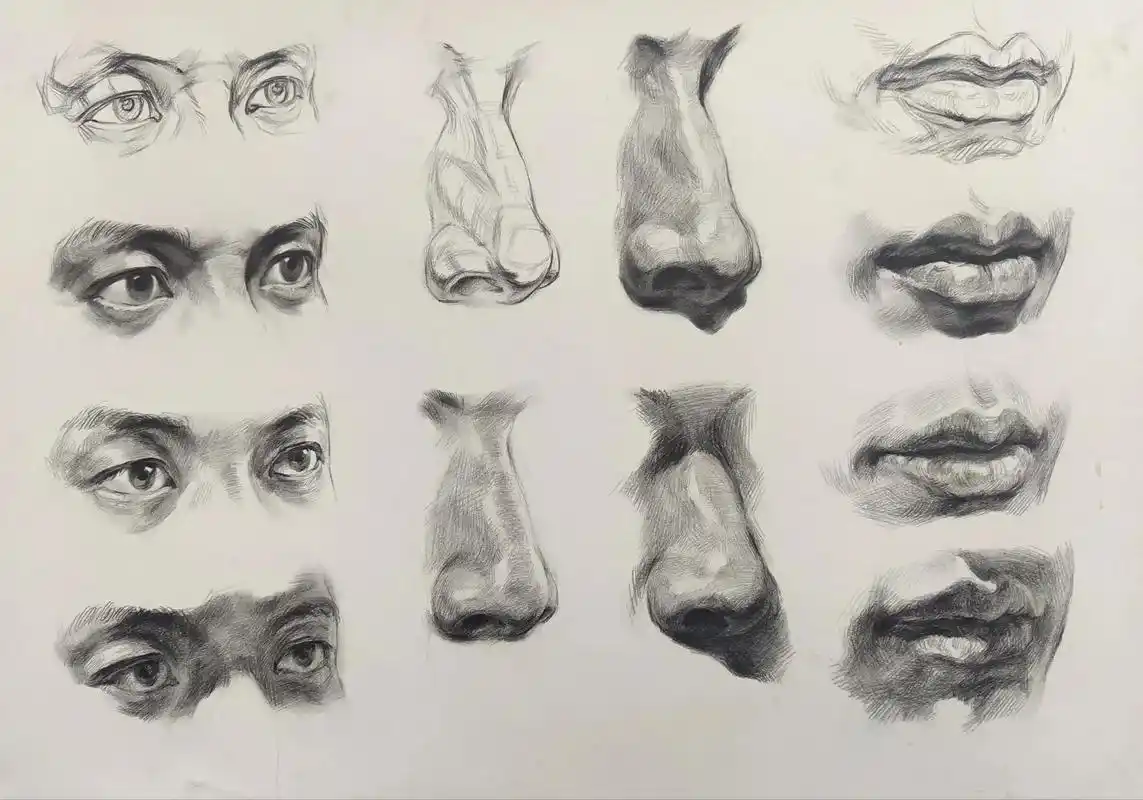 头像基础五官结构#美术生 #集训 #素描头像  - 抖音