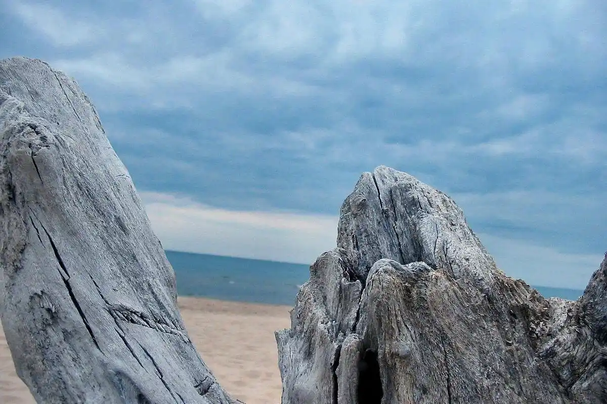 《金刚经》中的色,声,香,味,触,法都是指什么?