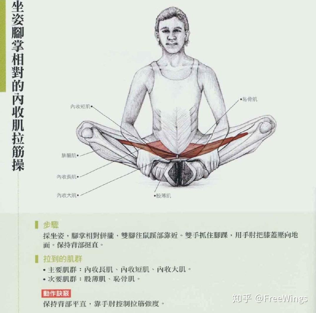 拉伸后链&大腿内侧