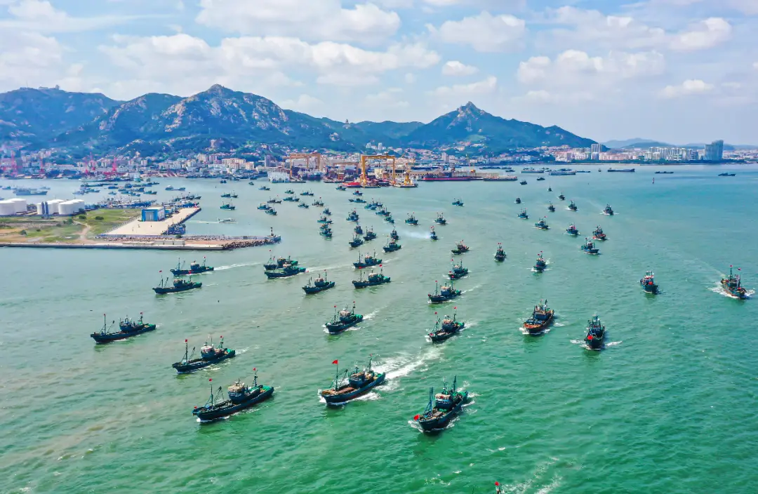 今年休渔期结束后,荣成市近2000艘渔船会根据天气和捕捞情况分批出海