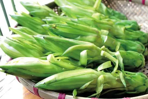 艳阳天霸王花盛,去暑气清爽宜人