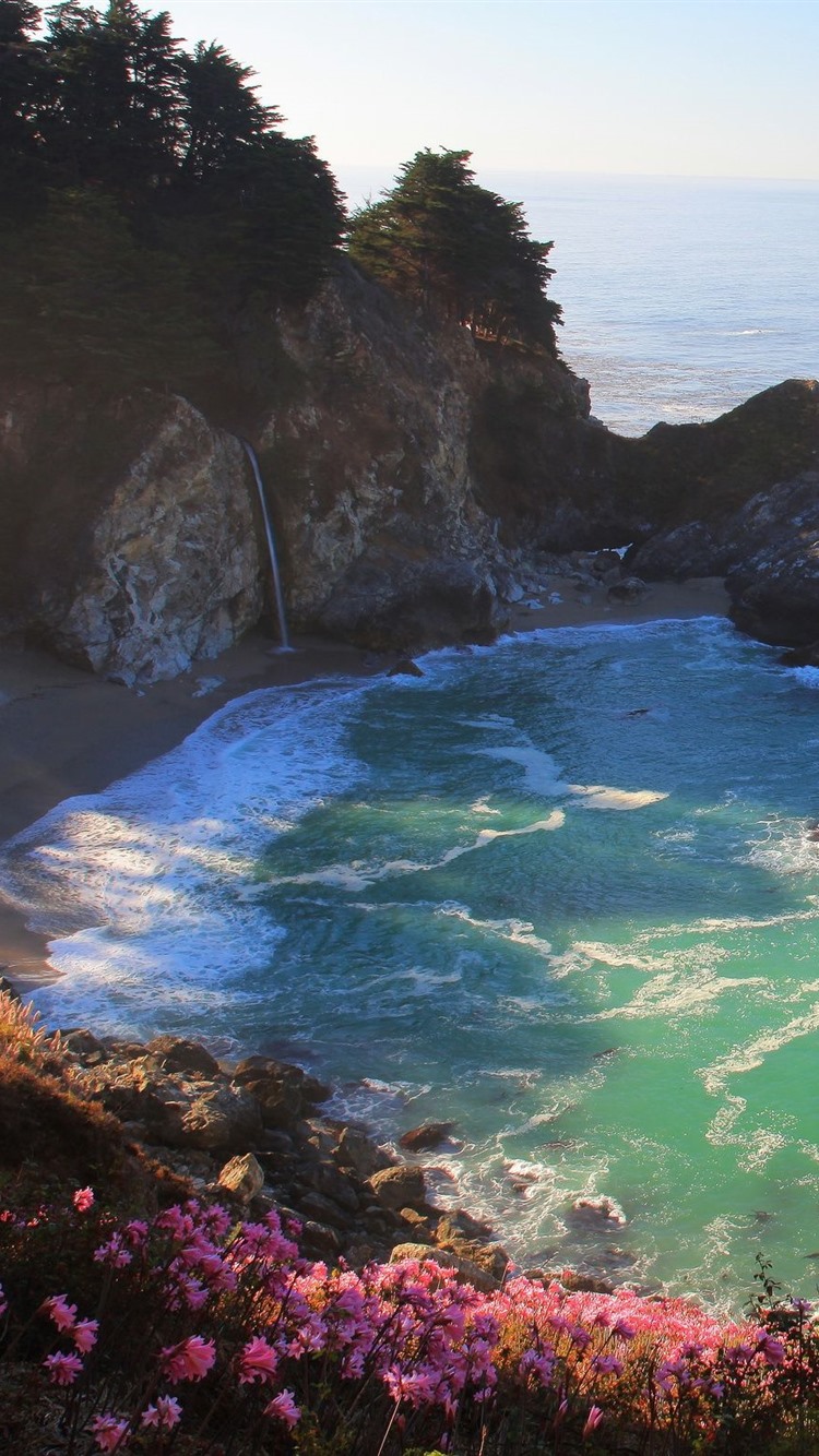 海滩,大海,瀑布,花朵,岩石 iphone 壁纸