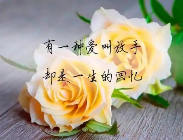 放手也是一种爱的句子有哪些