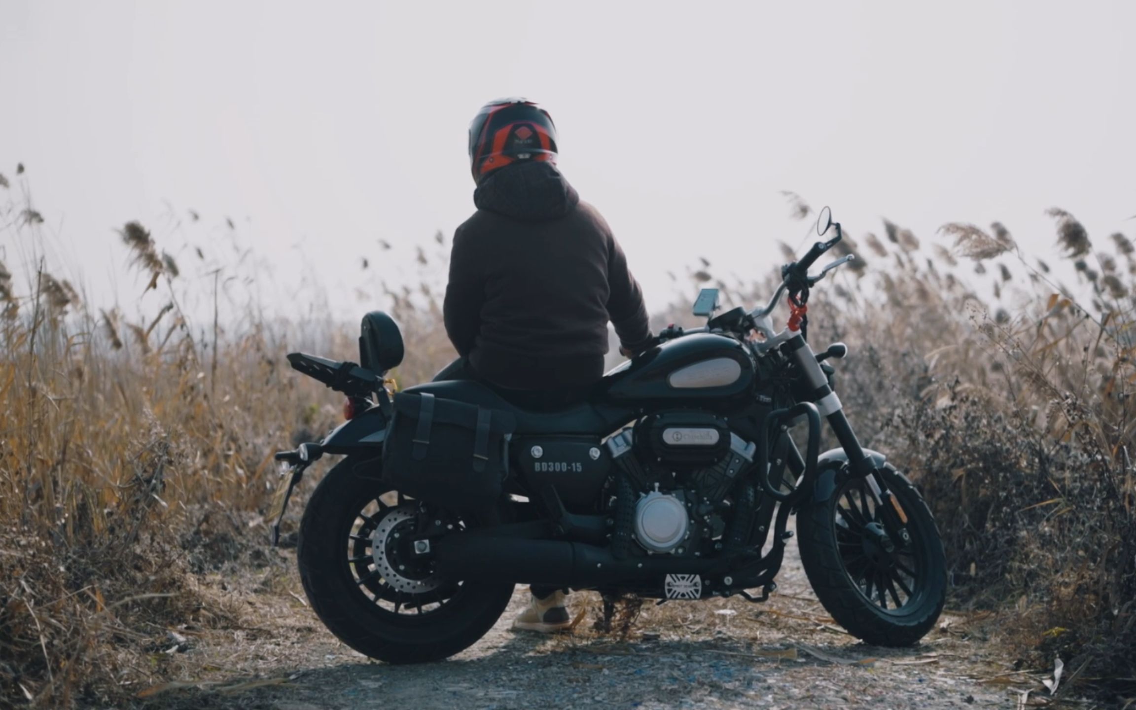 给金吉拉300拍了条短片