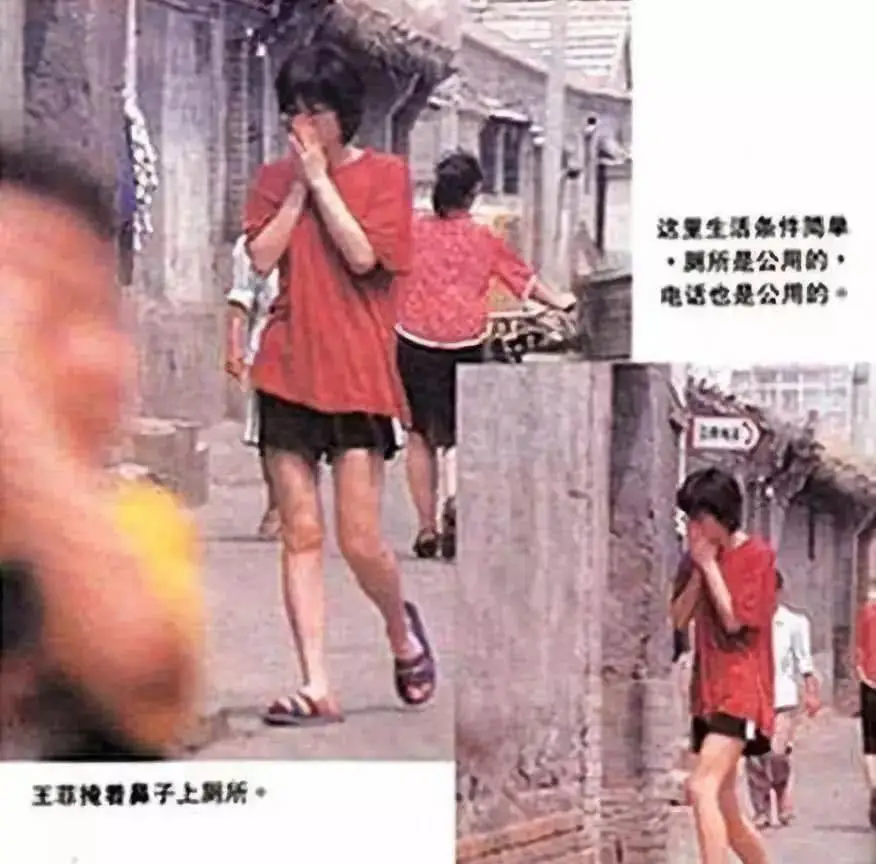 天后王菲的璀璨爱情,靠气质征服3个男人_谢霆锋_窦唯_李亚鹏