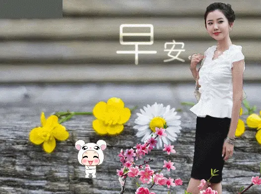 5张特别漂亮的美女早安图片表情,早安问候祝福语短信_手机搜狐网