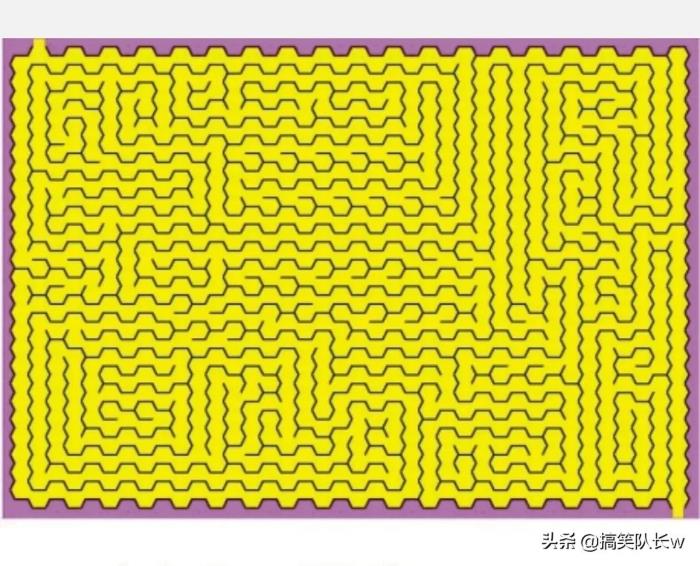 史上最难迷宫五个超高难度的迷宫