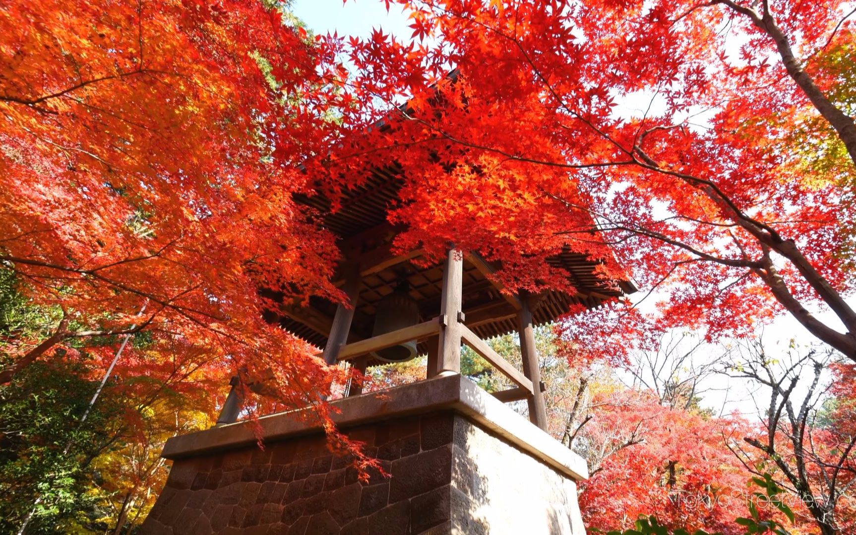 超清日本埼玉県99平林寺的红叶tokyostreetview