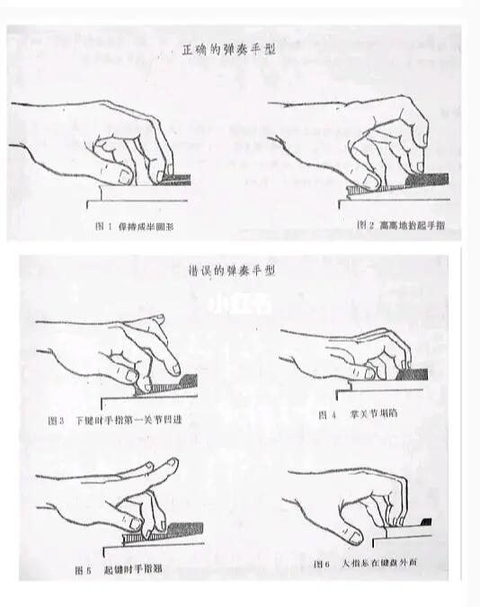 弹钢琴的正确弹奏手型7878_钢琴_正确弹奏手型_娱乐_音乐_音乐