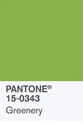 草木绿牛油果绿偏浅,浅绿色温温柔柔,有种朦胧美,墨绿色厚重沉稳,很难