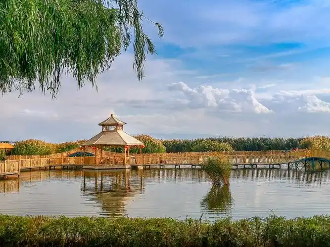 游博斯腾湖大河口景区