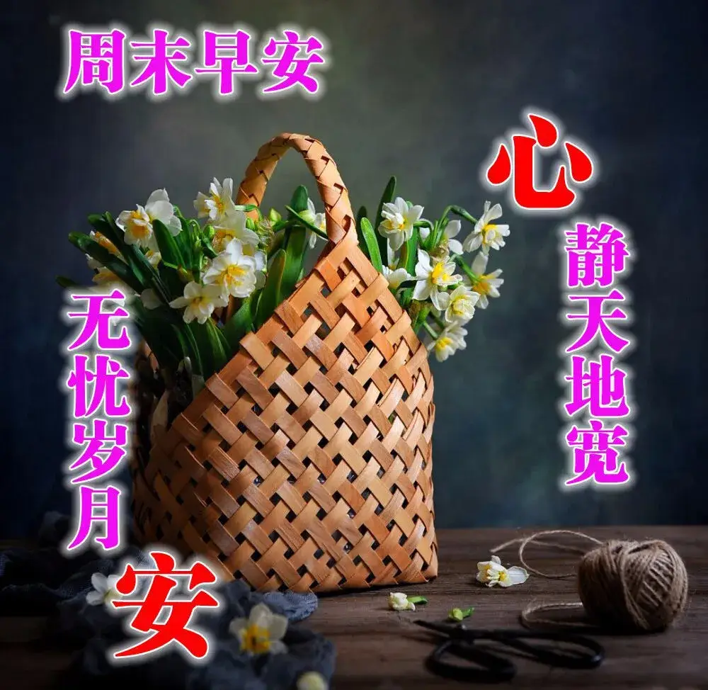 清晨最美早上好祝福短信息 早上好问候早安的句子图片群发