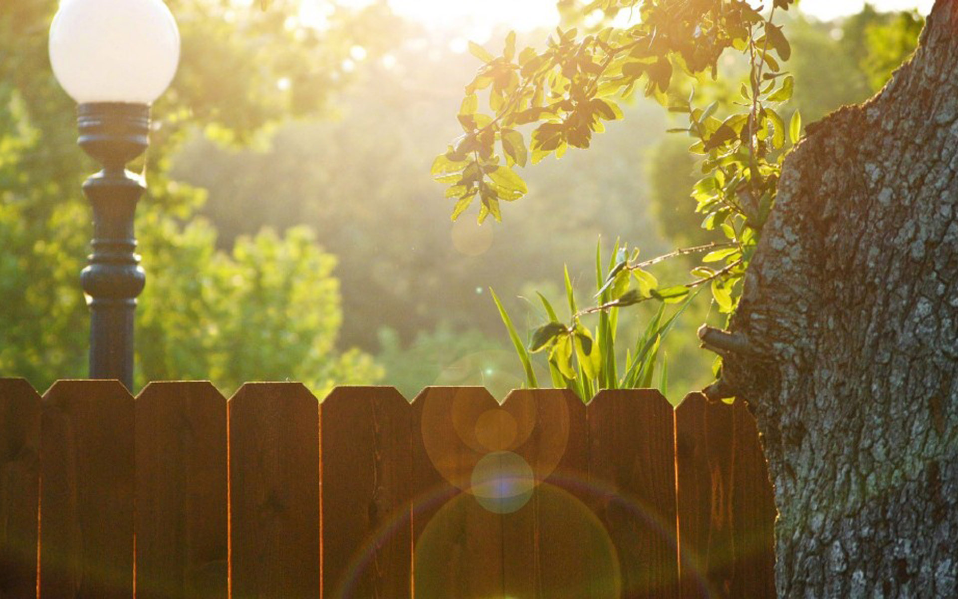 精选清晨唯美风景图片桌面壁纸