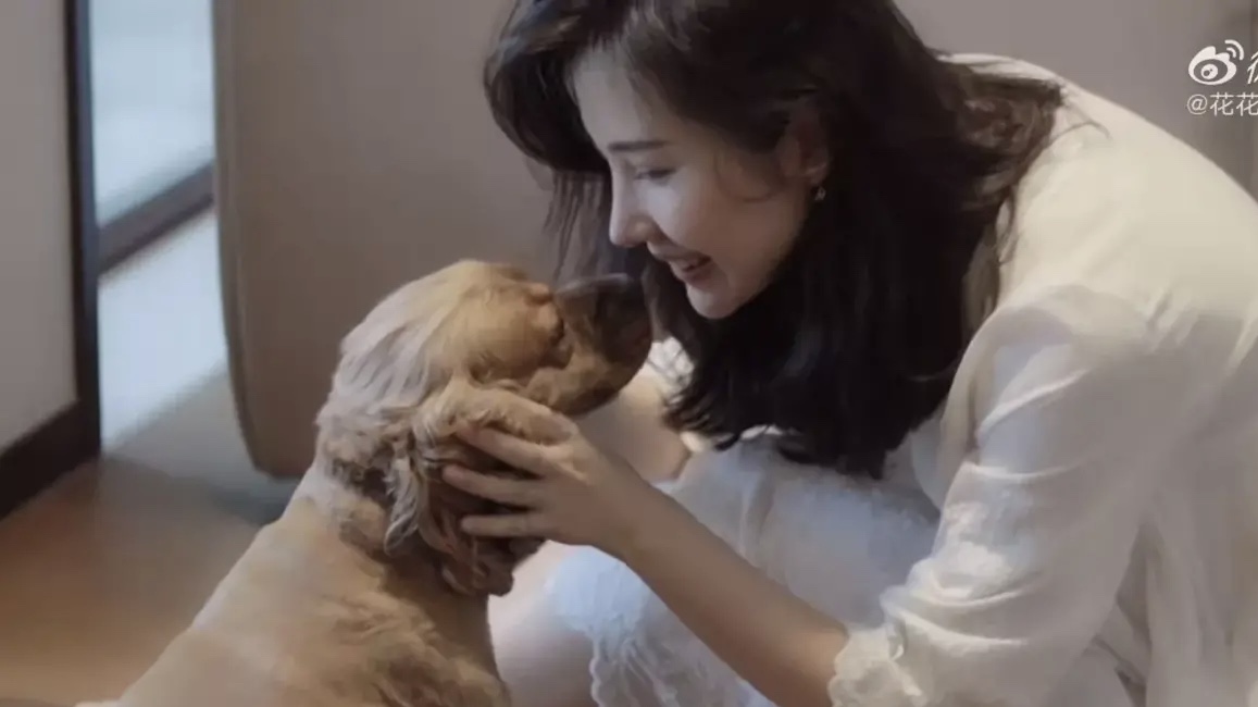 网友们关心的是,经过这场搅动全网的总裁婚内出轨风波,原配和小三到底