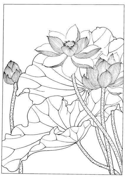 白描荷花简笔画荷花荷叶池塘简笔画漂亮的荷花池塘荷花简笔画图片大全