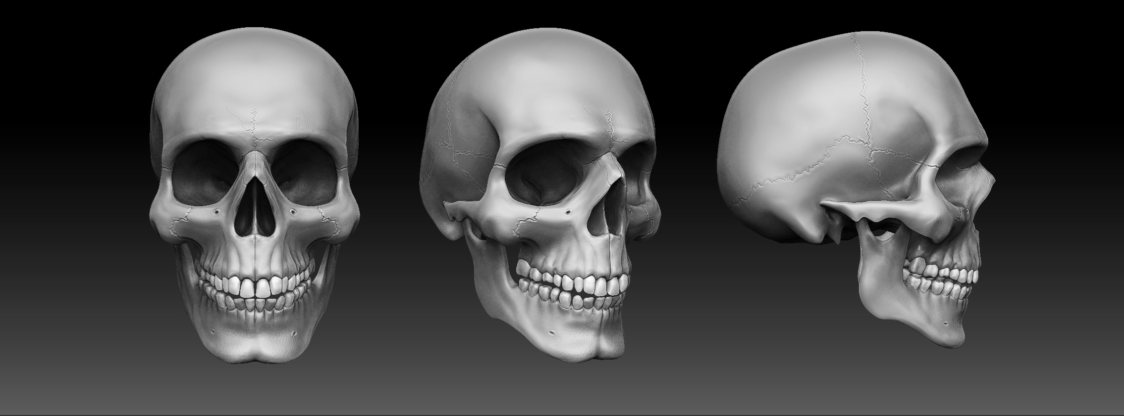 3d现实人类男性头骨,lowpoly / highpoly3d模型