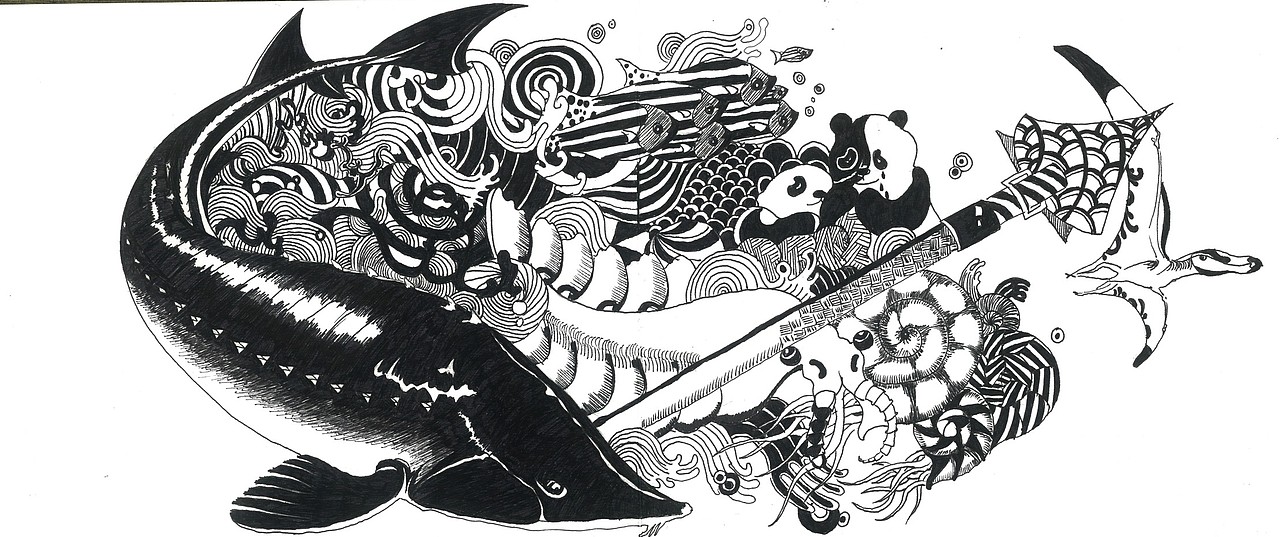 邹邹安 ——大学映射——手绘 黑白 插画 创意 中国风