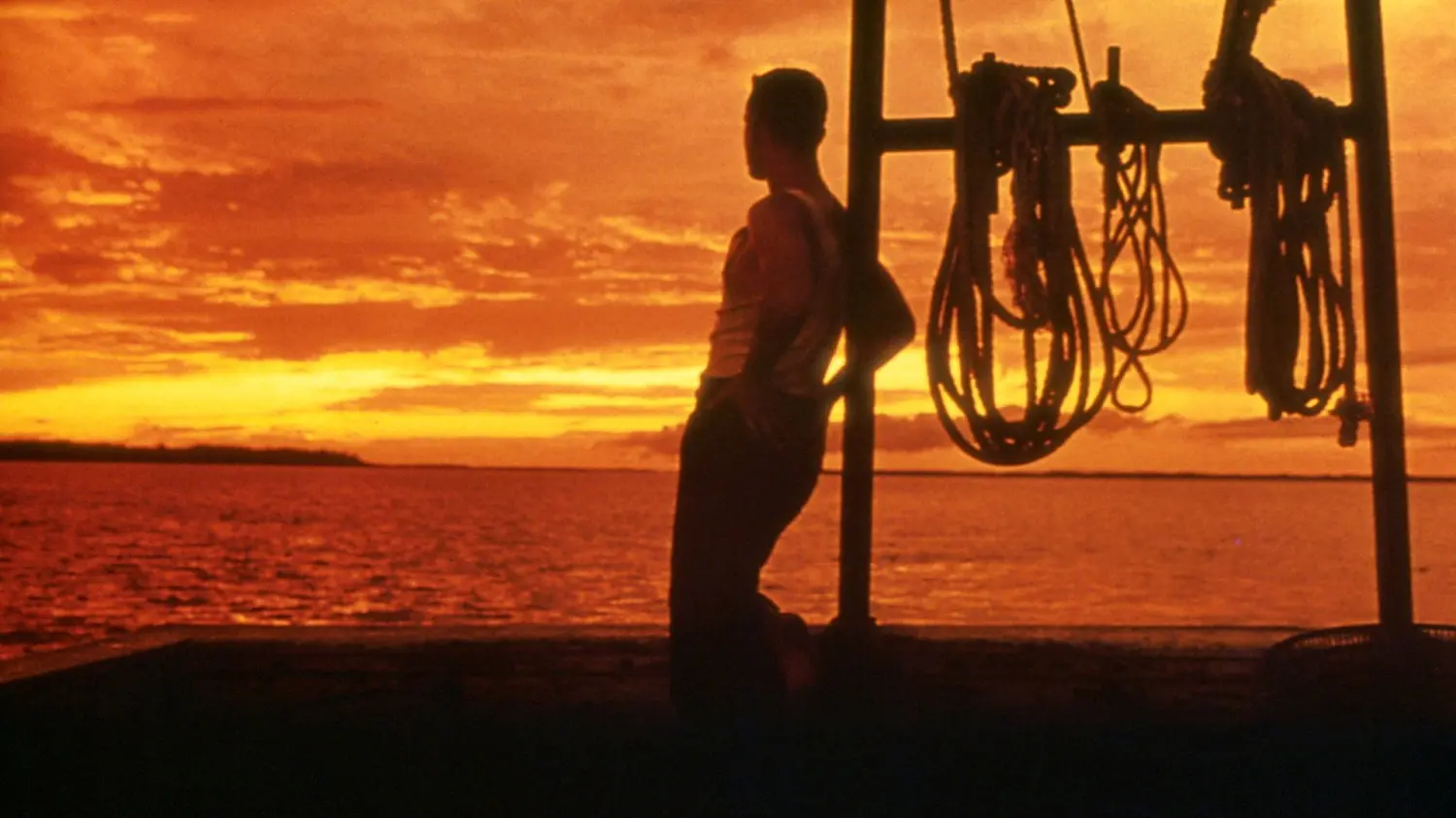 《阿甘正传》经典语录:忘记过去,勇往直前