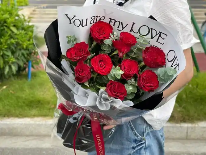 9朵高原红玫瑰花束