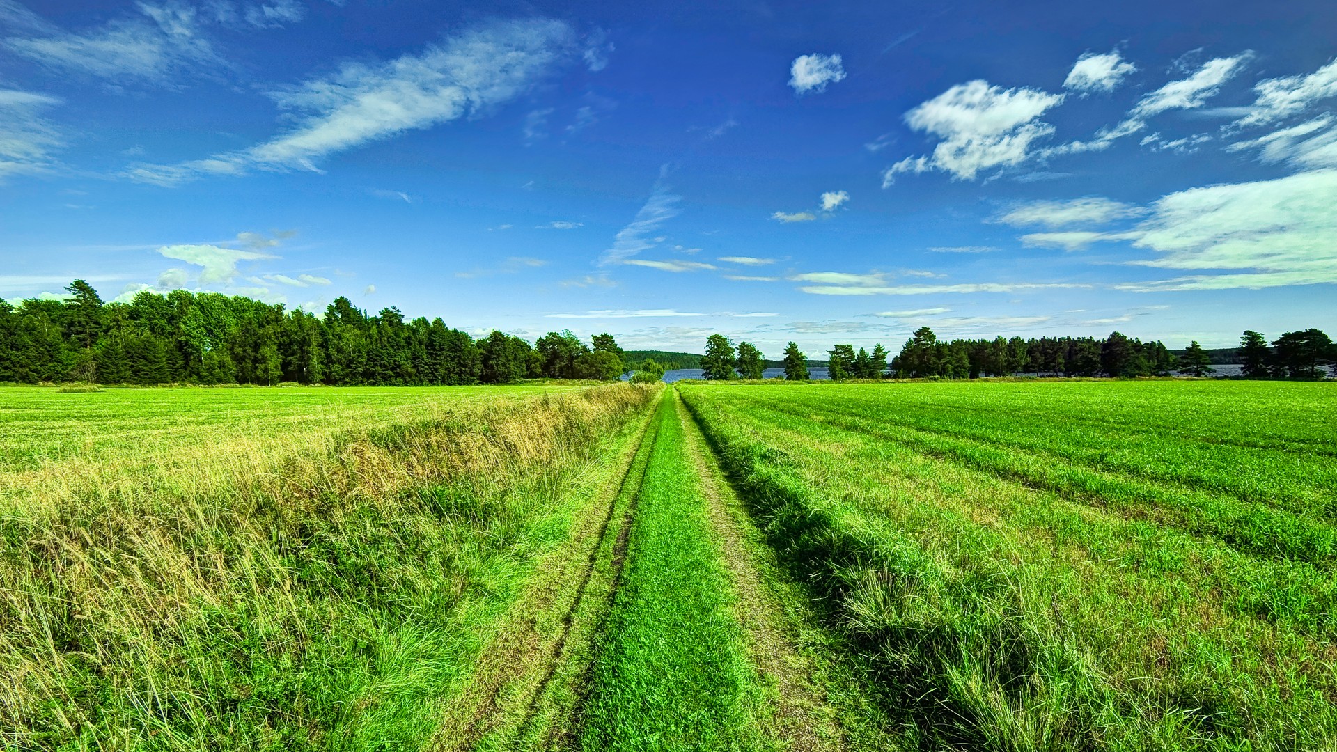 蓝天白云下的农场风光桌面壁纸