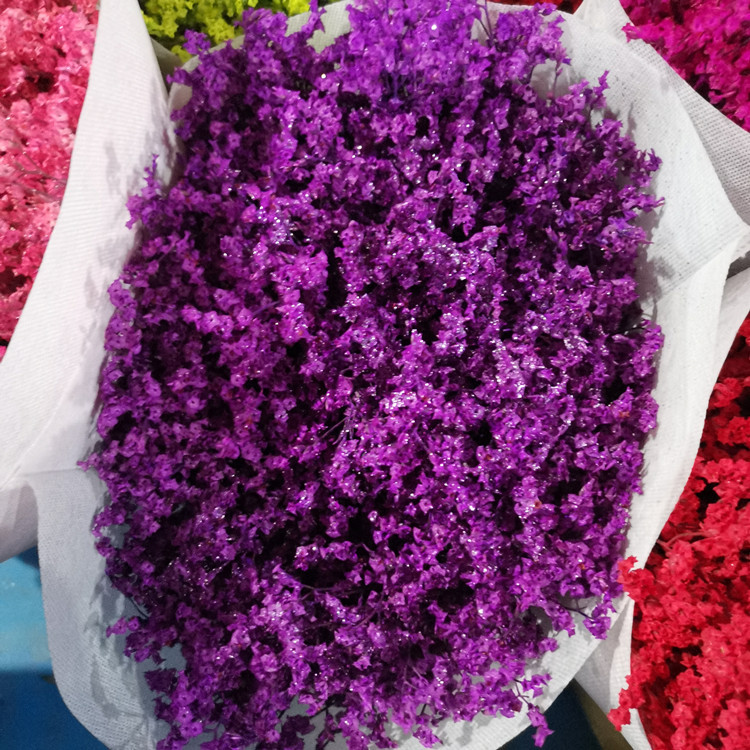 云南昆明新鲜勿忘我鲜花水晶草情人草批发花束配花摆摊夜市销售