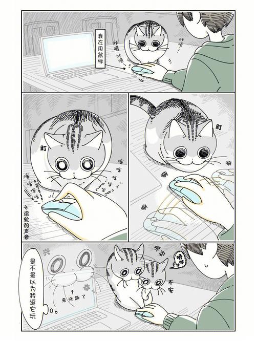 短篇漫画养猫新手之猫咪对我用鼠标很好奇