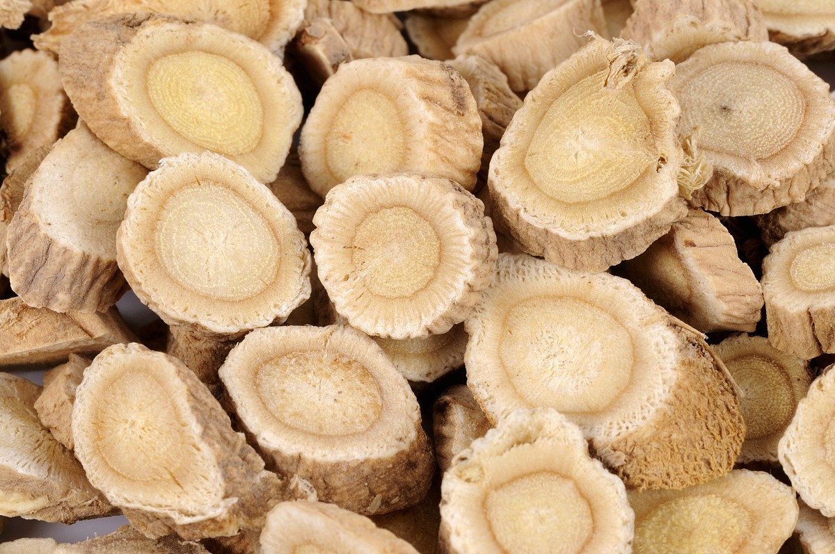 六,感冒发热的患者也别服用黄芪,这不利于退烧,对身体恢复是不好的.