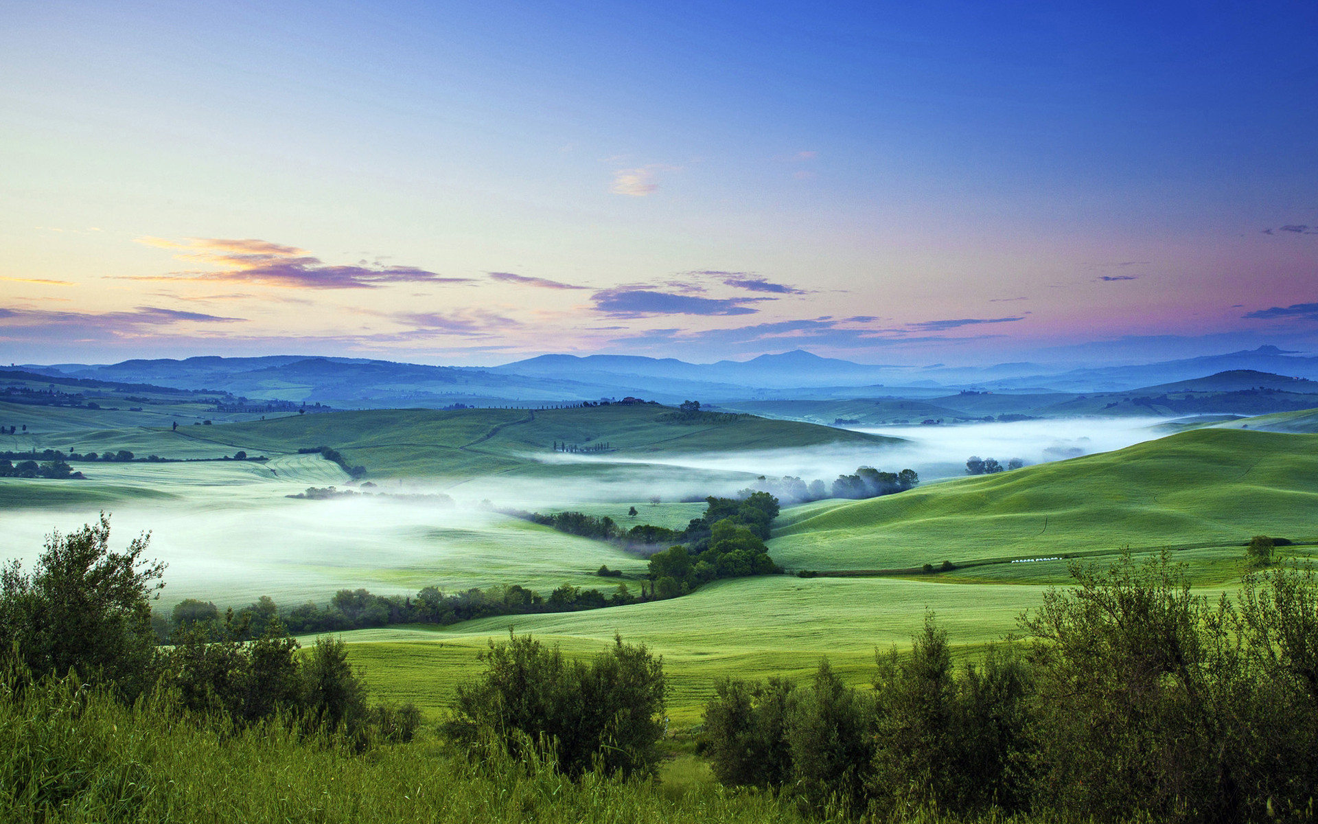 清新绿色护眼自然风光图片桌面壁纸-风景壁纸-壁纸下载-美桌网