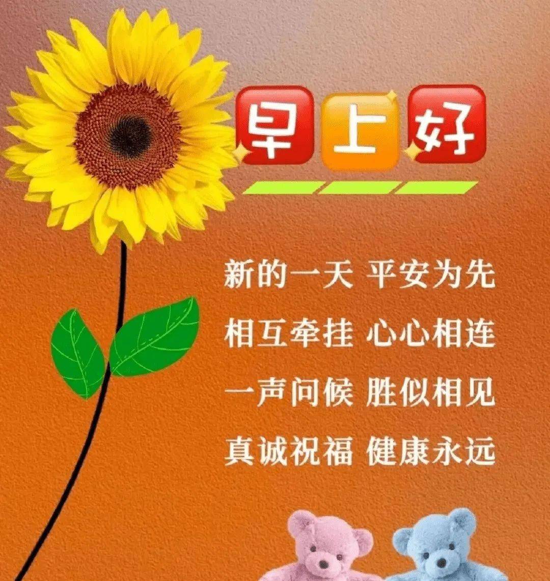 早上好表情包祝福图片带字,有创意的早安图片带暖心问候祝福语_阳光