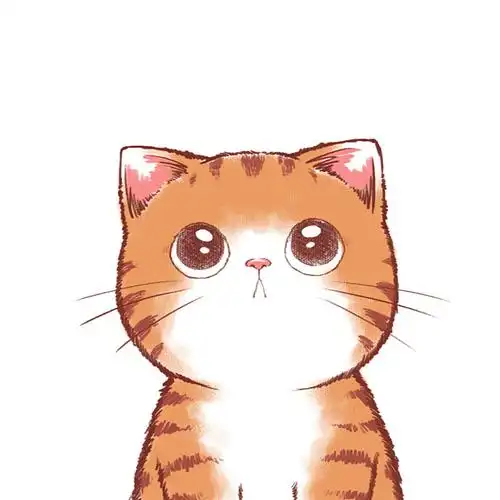 《带上橘猫去旅行》橘猫木瓜的表情包|动漫|网络表情|魏大葱有木瓜