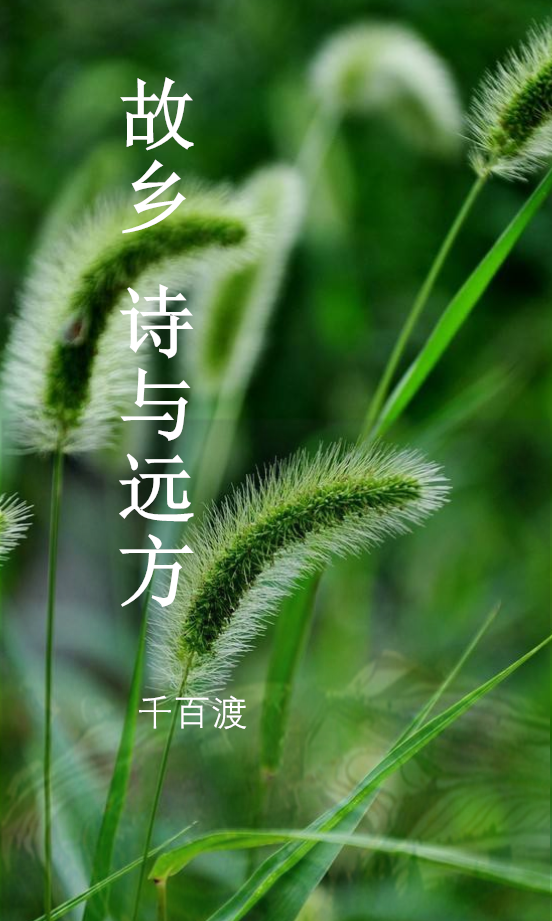 故乡,诗与远方
