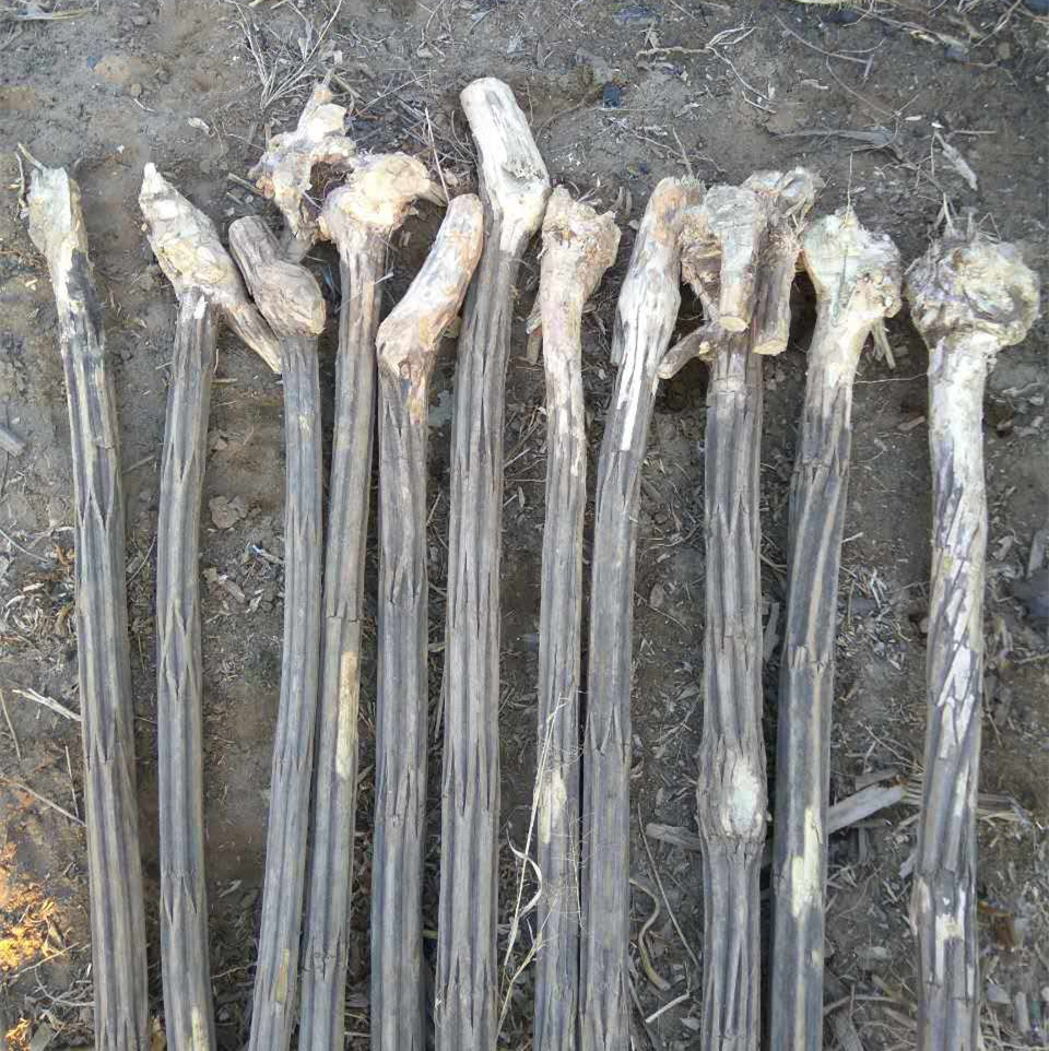 正宗五台山六道木九道木降龙木原木拐杖鞭杆武术棍鼓棒-阿里巴巴