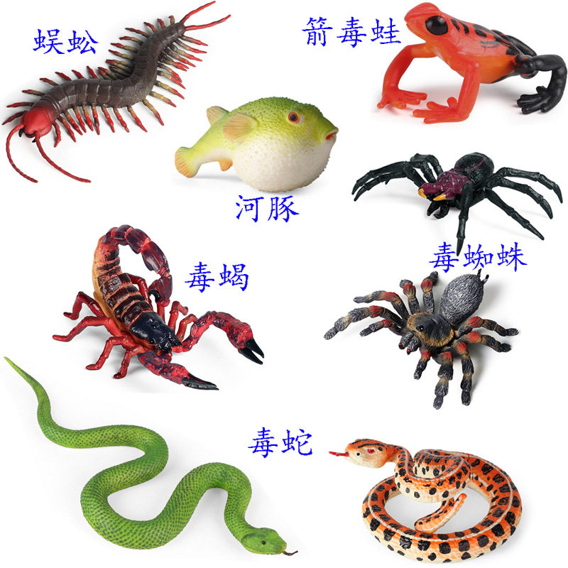 有毒野生动物模型箭毒蛙响尾蝮蛇王蛇蜈蚣河豚黑寡妇蜘蛛蝎子玩具