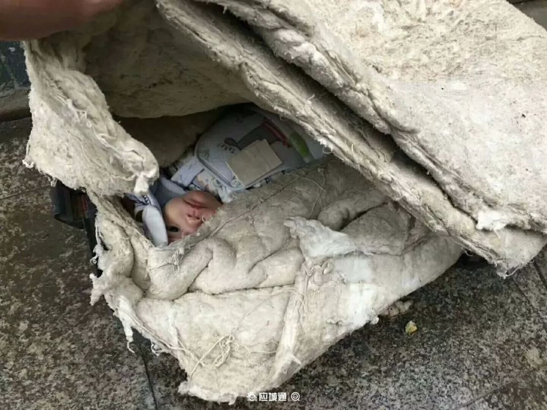 寒冬,应城弃婴后续报道!