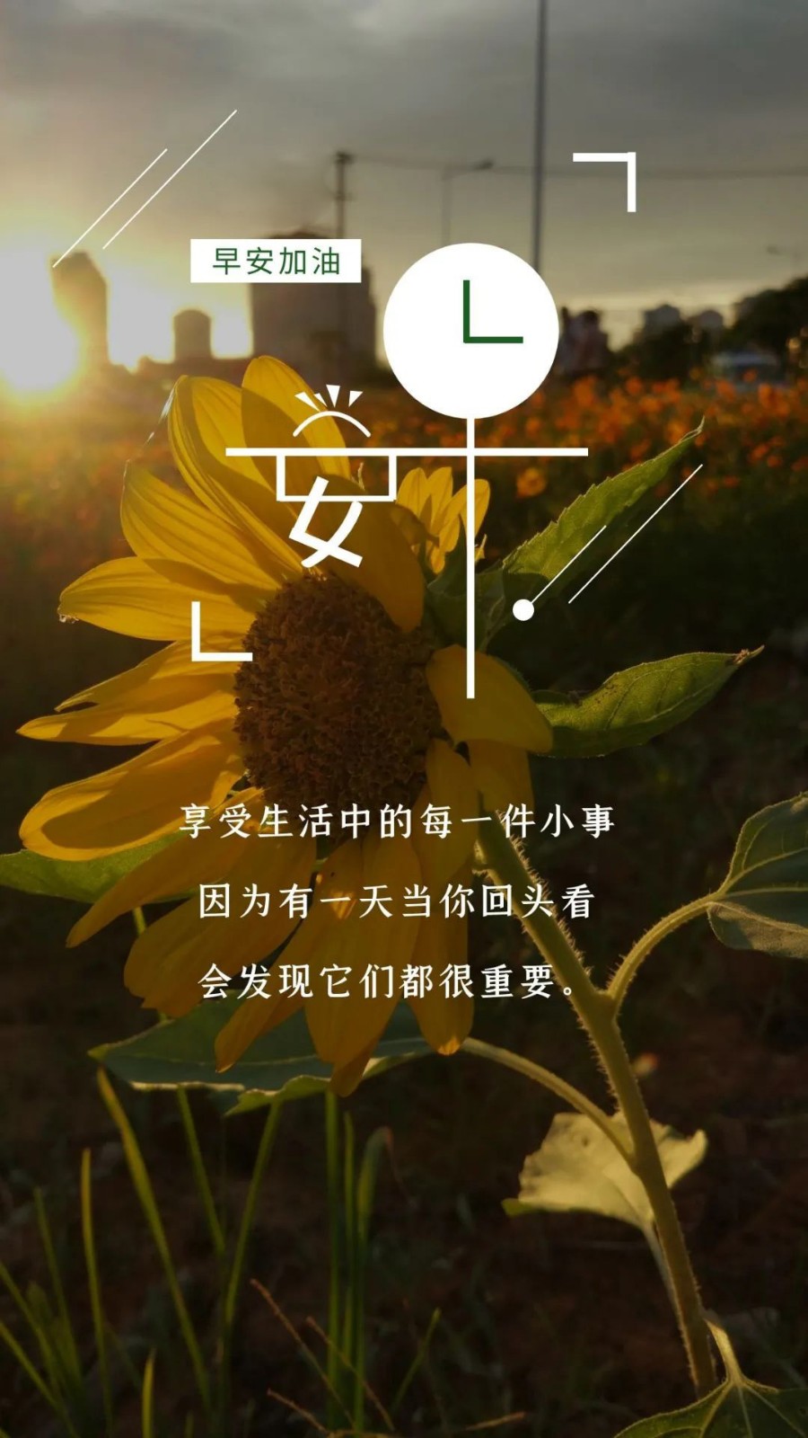 早安心语2021最新正能量图片朋友圈版