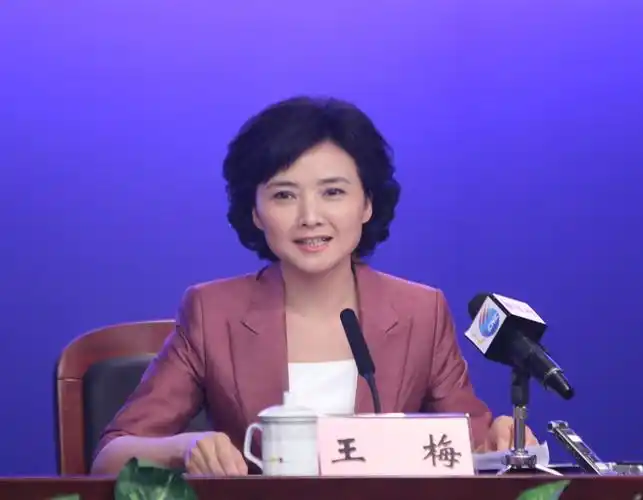 嘉宾深圳广电集团资深主播大运会组委会专职新闻发言人王梅