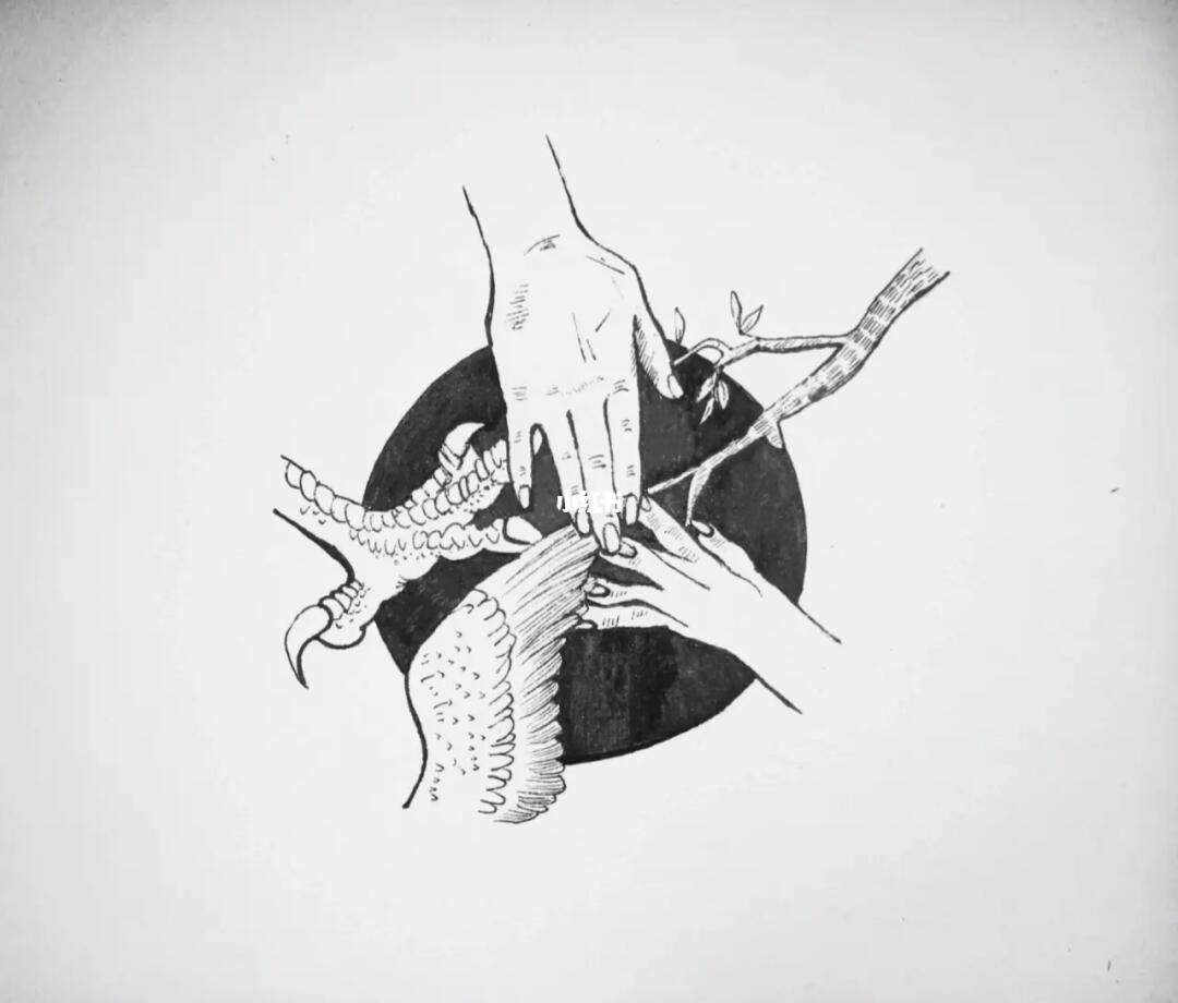 图形创意p1生与死p2人与自然和谐相相处