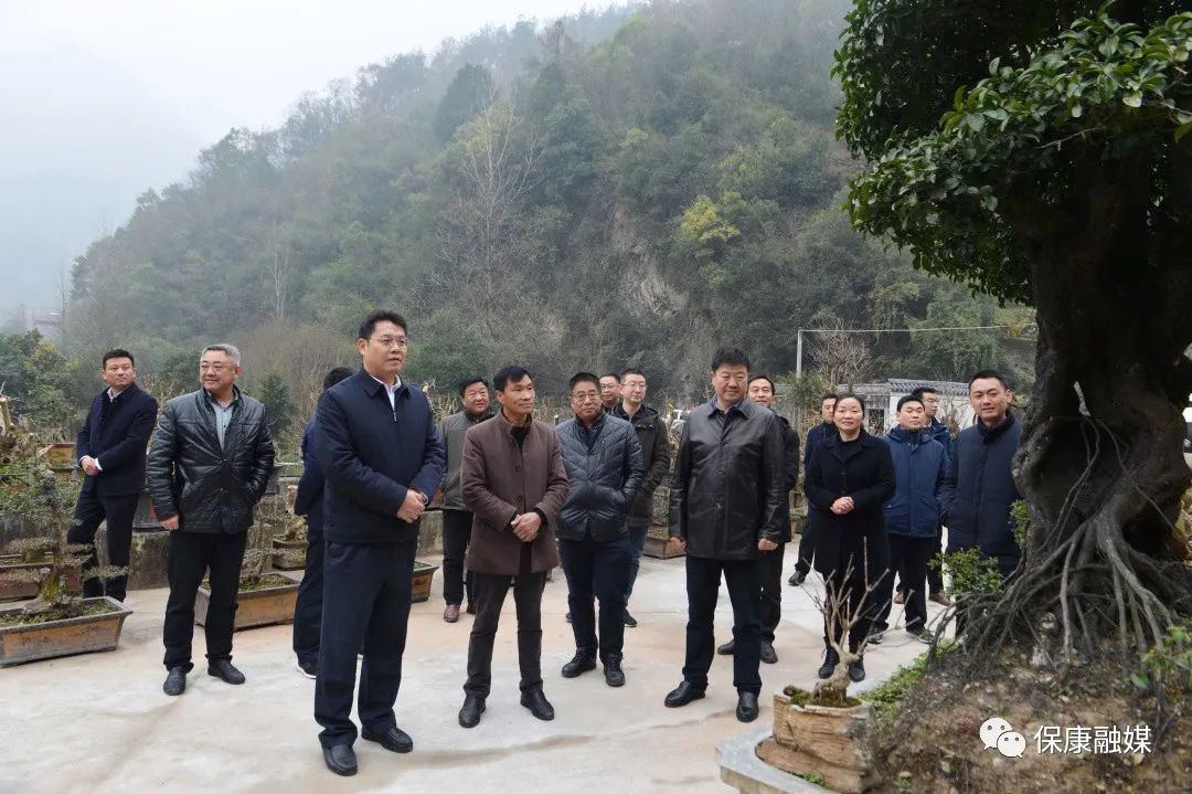 张世伟冯云波调研美丽乡村补短板强弱项建设工作