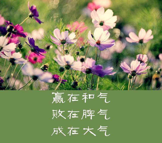 做人要大气,才能成大器有一笑而过的气度有海纳百川的胸怀请把美好