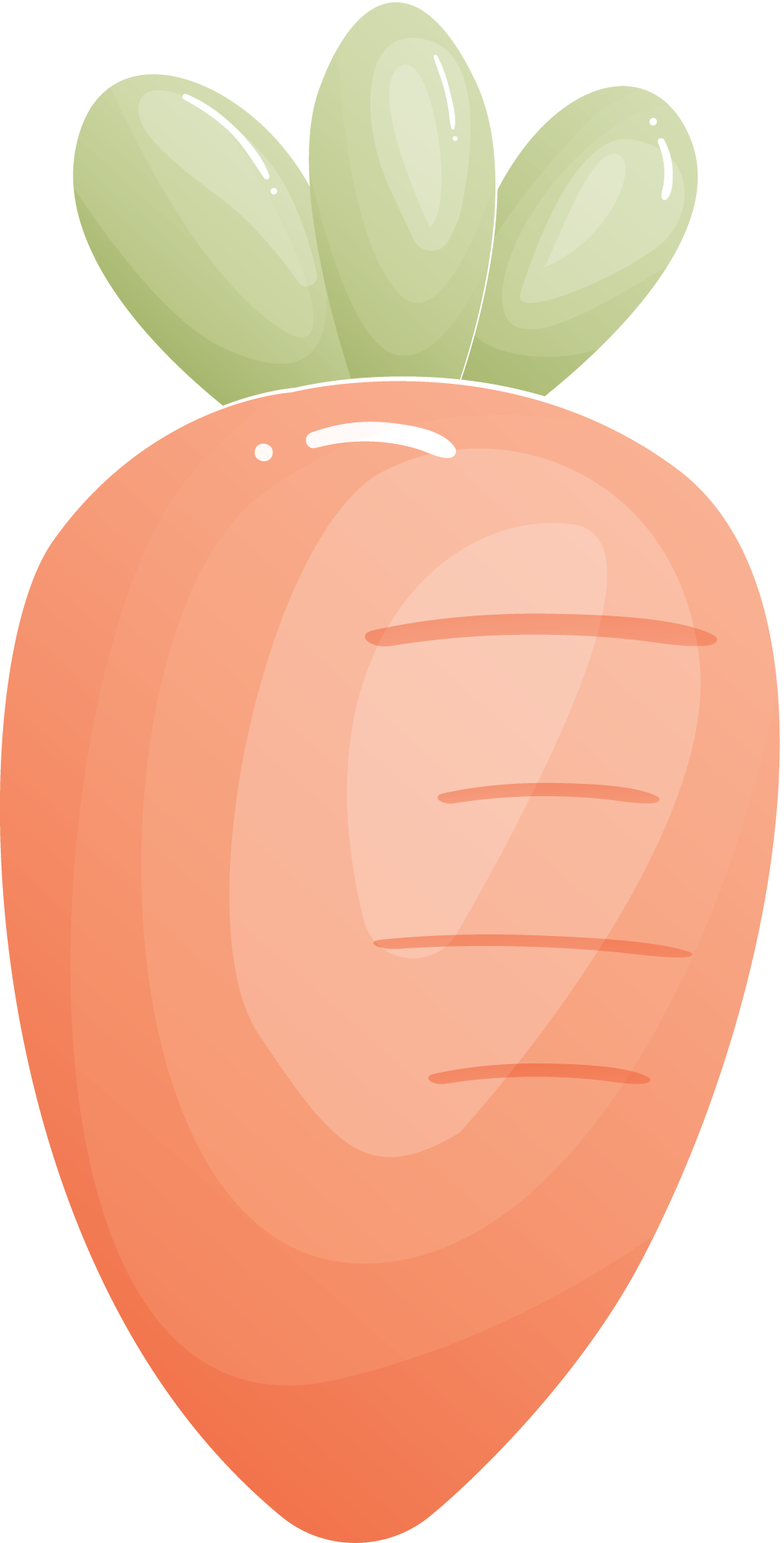 胡萝卜蔬菜手绘插画卡通