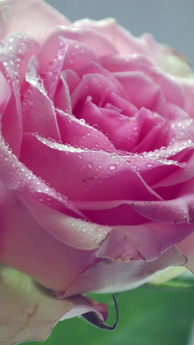 640_1136竖版 竖屏