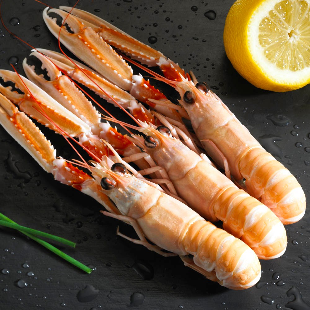 新西兰鳌虾为何能称为"虾中宾利"?