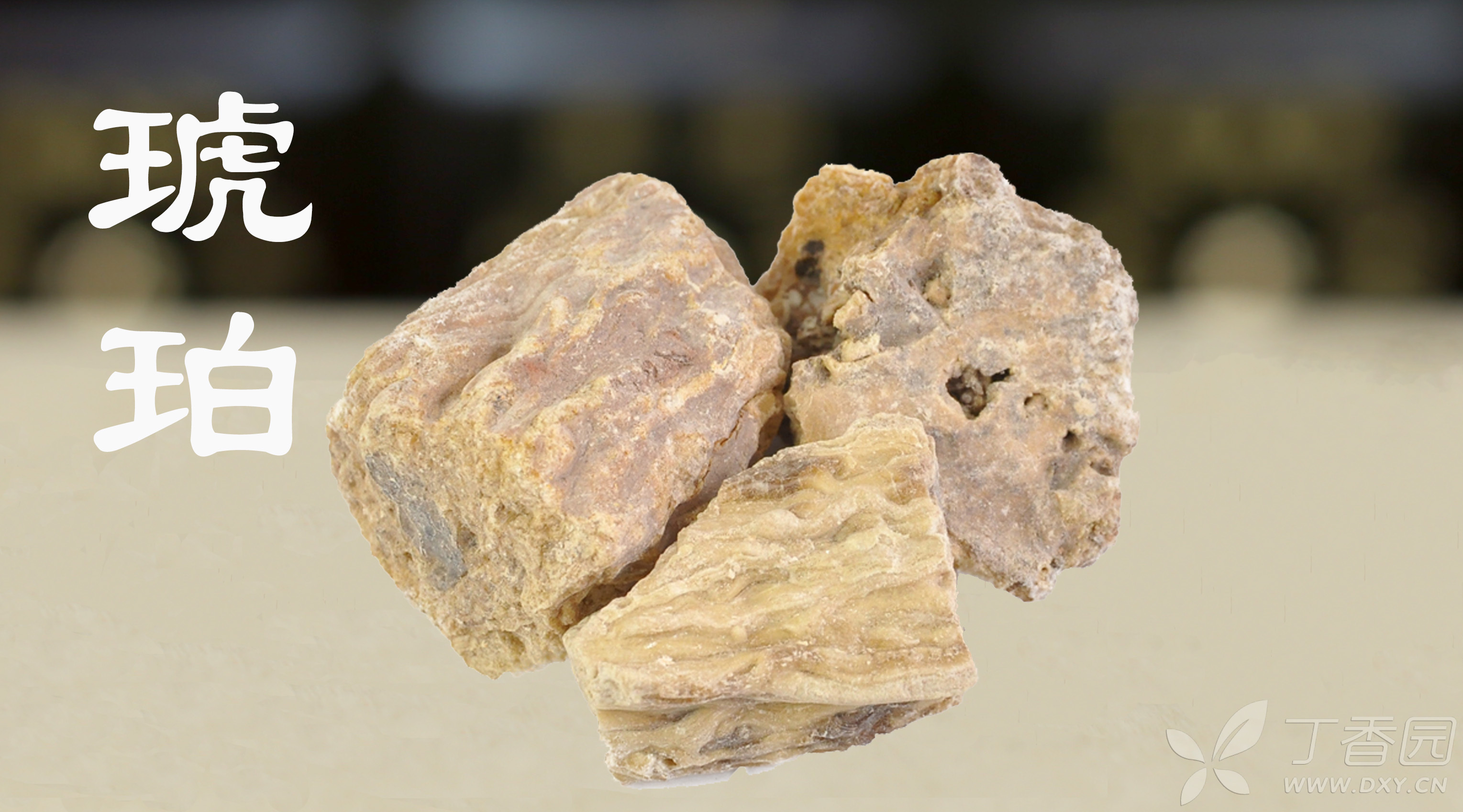 中医(专长)医师资格证书,每日一味学中药——琥珀